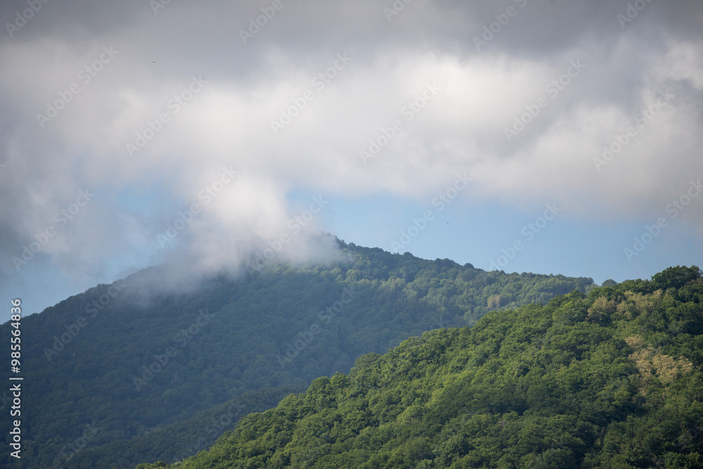 The sky is cloudy and the mountains are covered in trees The sky is cloudy and the mountains are covered in trees