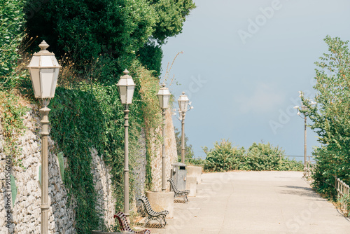 Charming Italian Pathway Surrounded by Greener photo