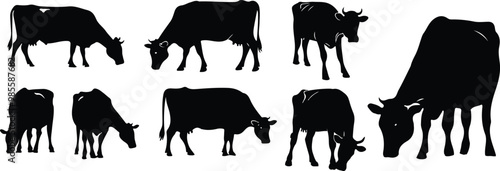 Cow Vector Art