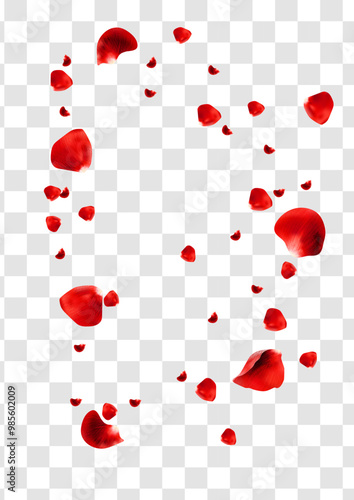 Realistic red rose petals flying around isolated