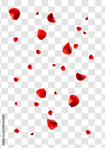 Realistic red rose petals flying around isolated