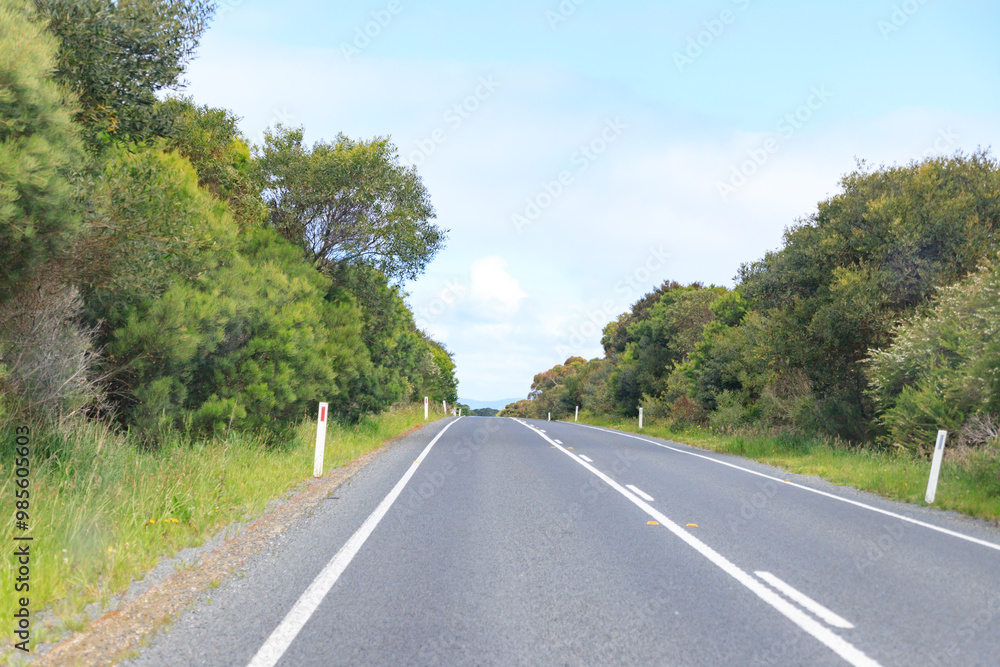 Fototapeta premium A Straight Path Through the Countryside, Australia