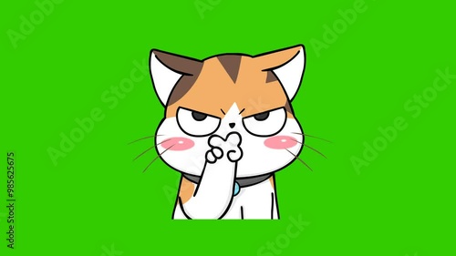 Watching you, cute little cat on green screen