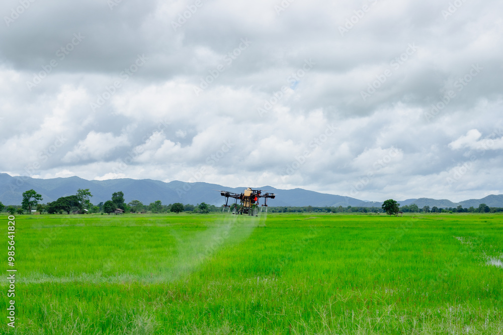 Modern technologies in agriculture. An industrial drone flies over a green field and sprays useful pesticides to increase productivity and destroys harmful insects. increase productivity Modern technologies in agriculture. An industrial drone flies over a green field and sprays useful pesticides to increase productivity and destroys harmful insects. increase productivity