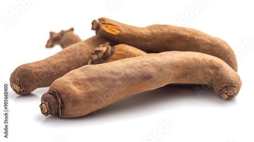 Dried Sea Cucumber Close Up Isolated on White Background