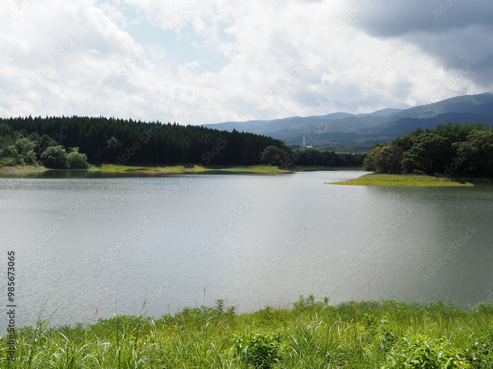 custom made wallpaper toronto digital橇引沢溜池