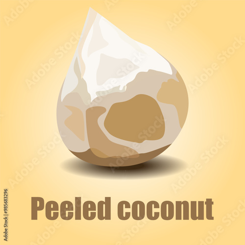  aromatic coconut peeled vector fruit
