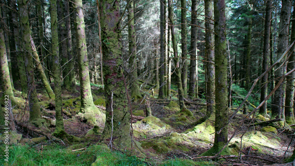 Ballycroy-Nationalpark, Wild Nephin National Park Ballycroy-Nationalpark, Wild Nephin National Park