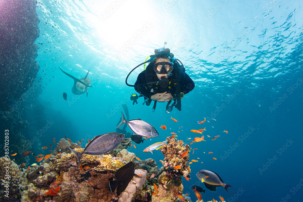 custom made wallpaper toronto digitalScuba Diver Swimming in Deep Sea with Sunrays and Beautiful Coral Reef with Colorful Fishes
