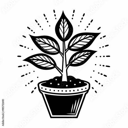 Tree Emitting Light from a Pot of Black Soil