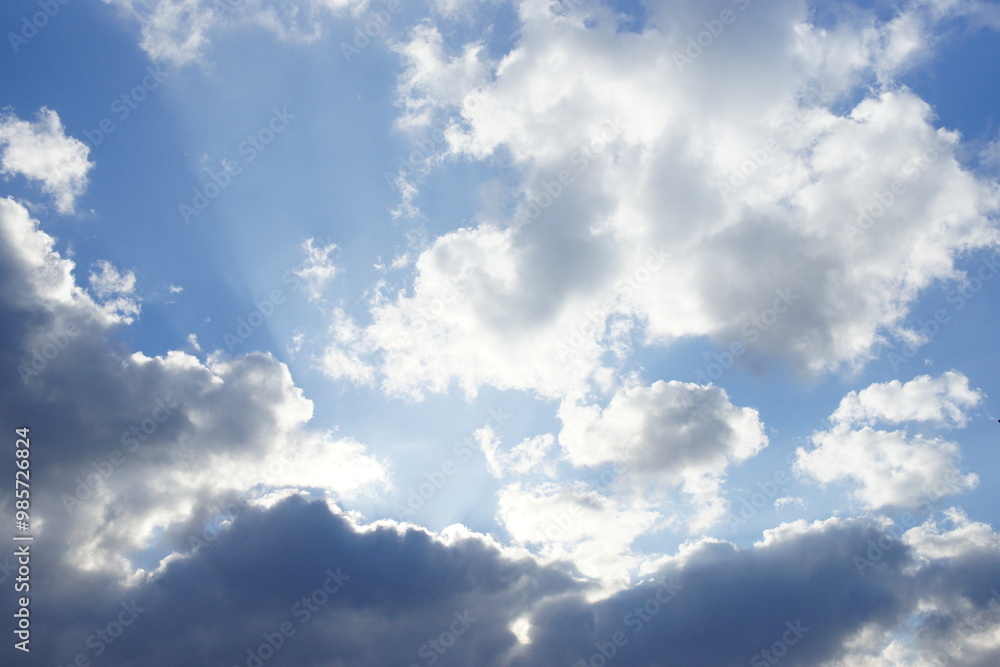 Fototapeta premium SONY DSC