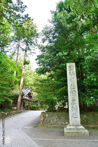 弥彦神社　参道（新潟県） photo