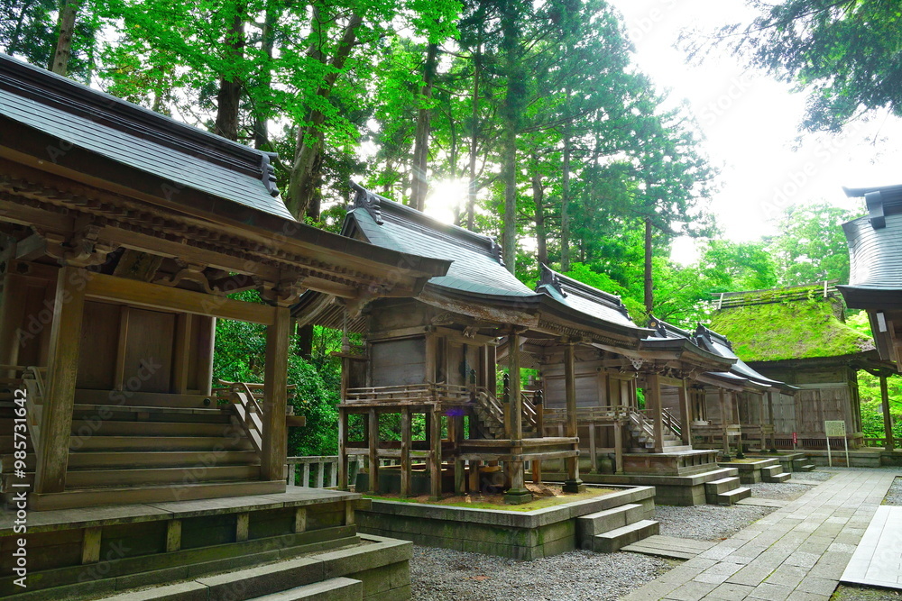 弥彦神社 摂社・末社(新潟県) 弥彦神社 摂社・末社(新潟県)