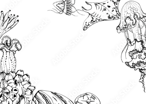 Marine life, sea ocean underwater creatures fish, shells algae seaweed, Ink and pen sketch hand drawn. Border frame illustration, stylized, isolated on white. For zoo shop, aquarium, cosmetics, resort