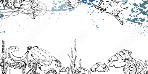 Marine life, sea ocean underwater creatures fish, shells algae seaweed, Ink and pen sketch hand drawn. Seamless banner illustration, stylized, isolated on white. For zoo shop, aquarium, fabric decor