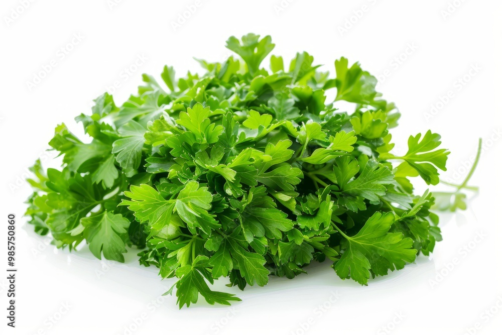 A fresh Parsley and Parsley Power isolated on white A fresh Parsley and Parsley Power isolated on white