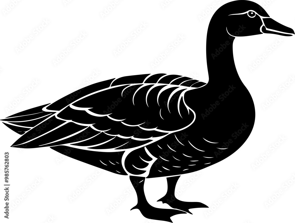 Goose silhouette vector illustration Goose silhouette vector illustration