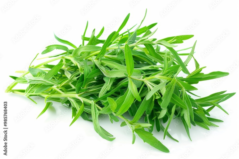 A fresh Tarragon and Tarragon Power isolated on white A fresh Tarragon and Tarragon Power isolated on white