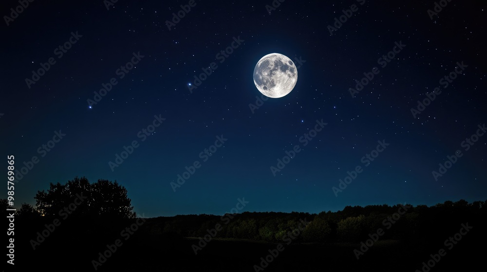 Moonlight in the Night Sky Moonlight in the Night Sky