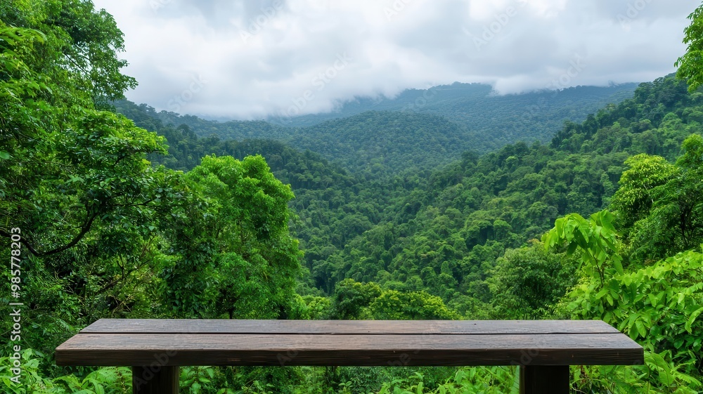 A wooden chair stands in the middle of the forest view, A photostock image of a lush forest being restored through reforestation efforts, ideal for nature conservation themes, style of iDeaclub A wooden chair stands in the middle of the forest view, A photostock image of a lush forest being restored through reforestation efforts, ideal for nature conservation themes, style of iDeaclub