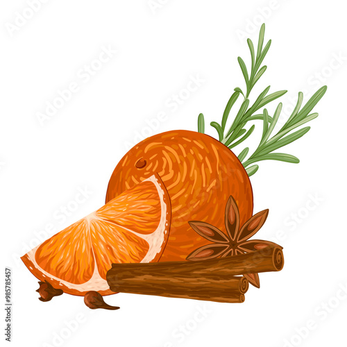 Star anise, cinnamon rolls, rosemary, clove and orange composition. Christmas illustration hand draw vector. Isolated on white background. Winter spices for mulled wine