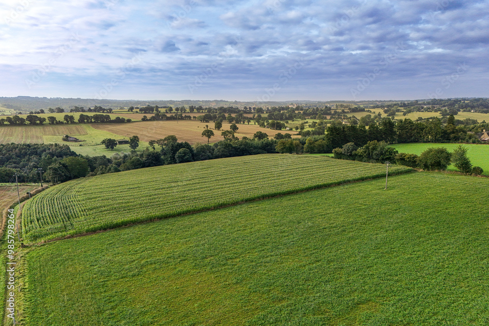 Aerial view of green cultivated fields with the surrounding countryside and hedges separating the fields Aerial view of green cultivated fields with the surrounding countryside and hedges separating the fields