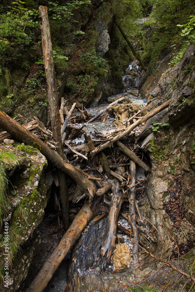 Driftwood in Wolfsklamm at Stans, Austria, Europe
Driftwood in Wolfsklamm at Stans, Austria, Europe