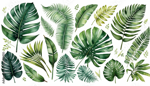 Obraz na płótnie branch compositions white painting patterns floral leaves fern elements palm set leaf frame watercolor tree olated banana drawn design laurels hand watercolor set tree branch leaf leaf tropical w salonie