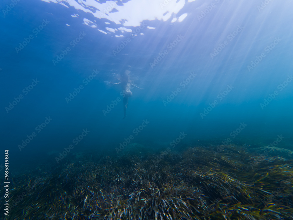 Underwater photography, a young girl swims in the Mediterranean sea in Monaco. Underwater photography, a young girl swims in the Mediterranean sea in Monaco.