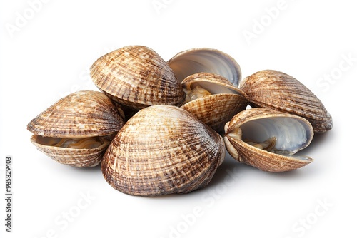 Isolated fresh clams on a white backdrop. Generative Ai