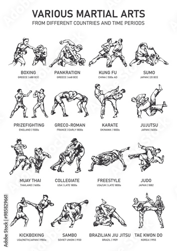 Various martial arts from different countries and time periods