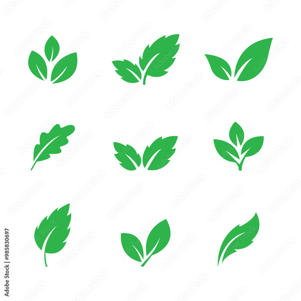 Set of green leaf icons. Leaves of trees and plants. Collection of green leaf. Vector illustration Set of green leaf icons. Leaves of trees and plants. Collection of green leaf. Vector illustration