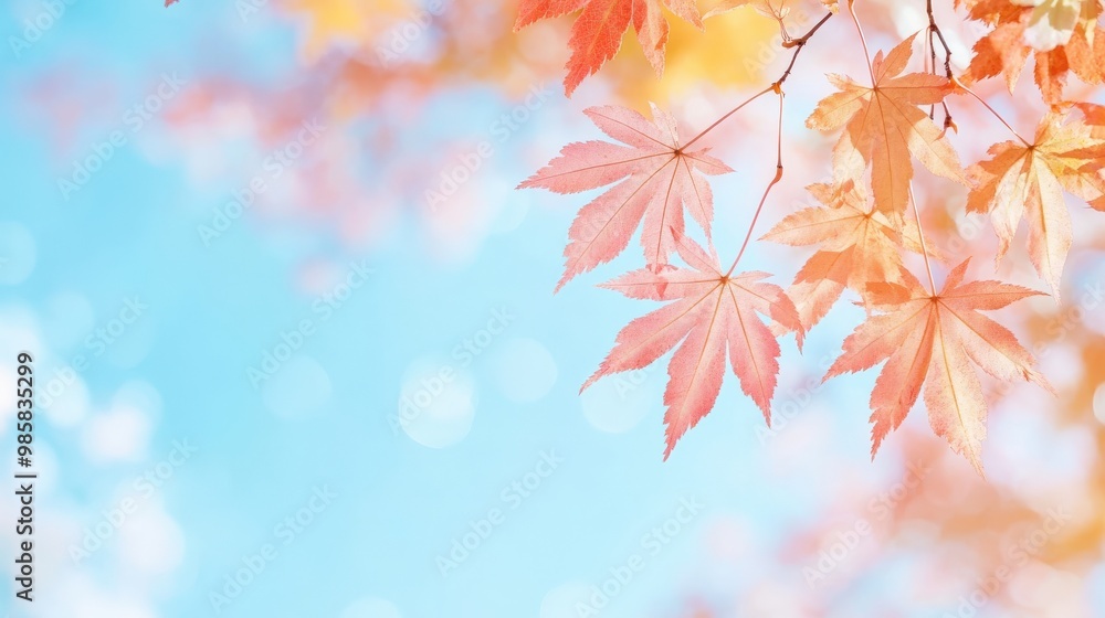 A serene close-up of autumn leaves against a bright blue sky, showcasing vibrant hues of orange and pink, evoking a sense of tranquility and seasonal beauty. A serene close-up of autumn leaves against a bright blue sky, showcasing vibrant hues of orange and pink, evoking a sense of tranquility and seasonal beauty.