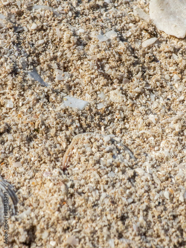 Closeup of sand on the beach.