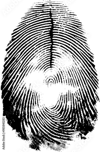Vector white and black fingerprint texture.