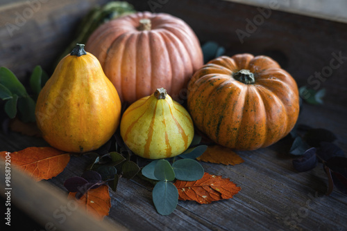 Different pumpkins on a wooden tablet