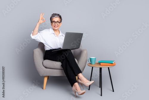 Full size photo of nice retired female sit armchair hold netbook okey wear trendy formalwear outfit isolated on gray color background photo