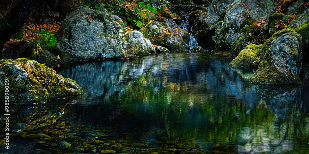 Fototapeta premium Pensive Pond: A still body of water, surrounded by mossy rocks and overhanging branches.