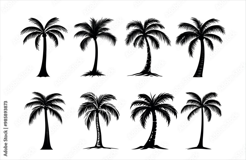 Detailed Highly Detailed Palm or coconut tree black art silhouette vector illustration set on white background Detailed Highly Detailed Palm or coconut tree black art silhouette vector illustration set on white background