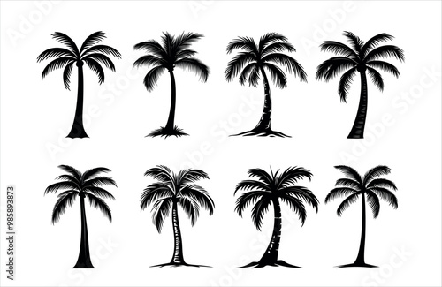 Detailed Highly Detailed Palm or coconut tree black art silhouette vector illustration set on white background