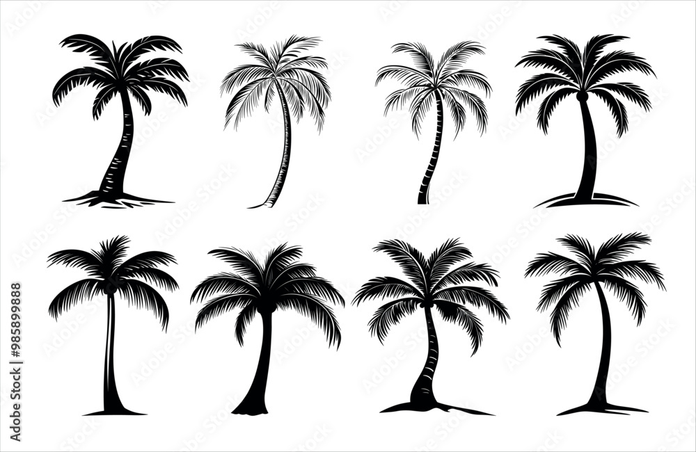Fototapeta premium Detailed Highly Detailed Palm or coconut tree black art silhouette vector illustration set on white background