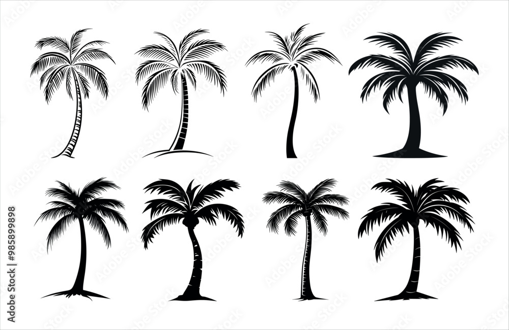 Obraz premium Detailed Highly Detailed Palm or coconut tree black art silhouette vector illustration set on white background