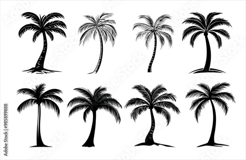 Detailed Highly Detailed Palm or coconut tree black art silhouette vector illustration set on white background