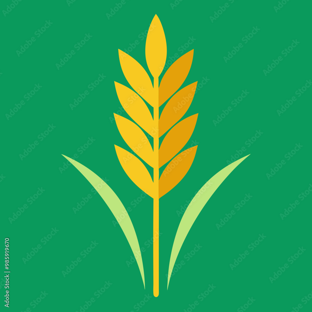 Fototapeta premium barley