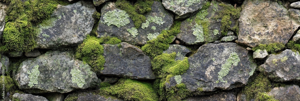 Moss - covered stone texture with vibrant green and earthy tones Moss - covered stone texture with vibrant green and earthy tones