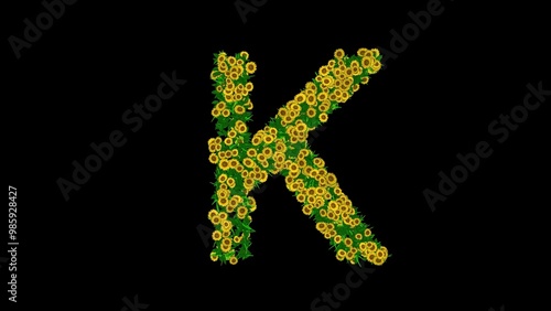 Beautiful illustration of English alphabet K with green leaves and yellow daisy flowers on plain black background