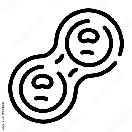 cell division
