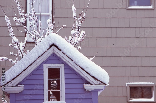 Fluffy Snow Piled on Purple Clapboard Shed Roof