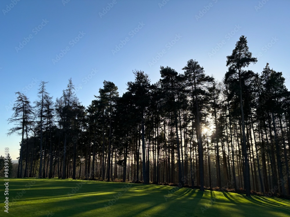 Obraz premium Sunset Golf Course 