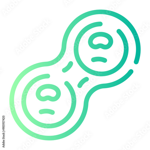 cell division